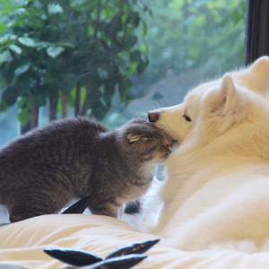 亚洲妓女毛茸茸的撤尿
